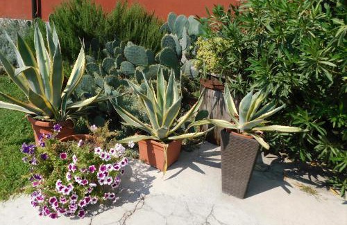 Povegliano Veronese Bed & Breakfast | B&B Le Stanze di Amelie