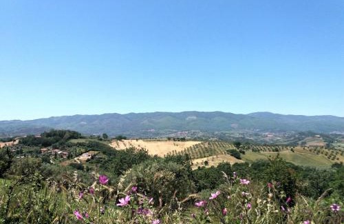Arcavacata Bed & Breakfast | B&B Le Vedute