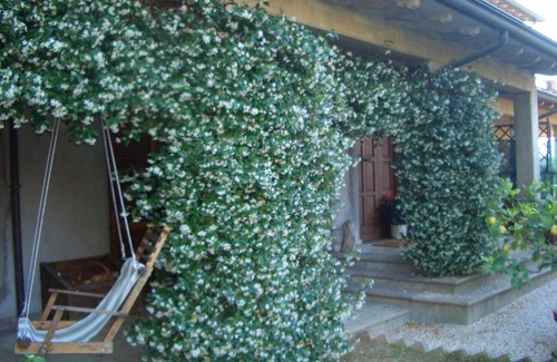 Ponte Valleceppi Bed & Breakfast | B&B Luce Riflessa