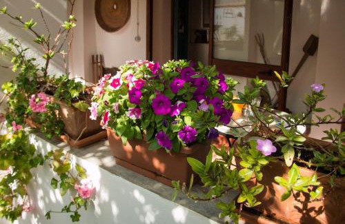 San Vito Bed & Breakfast | B&B Martina