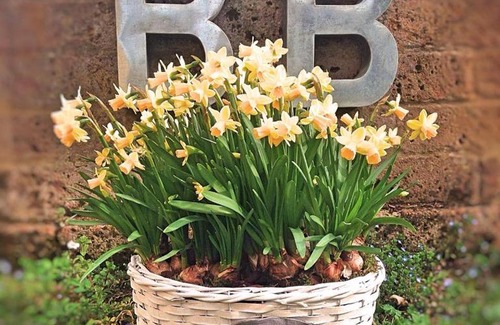 Goito Bed & Breakfast | B&B Nascondino