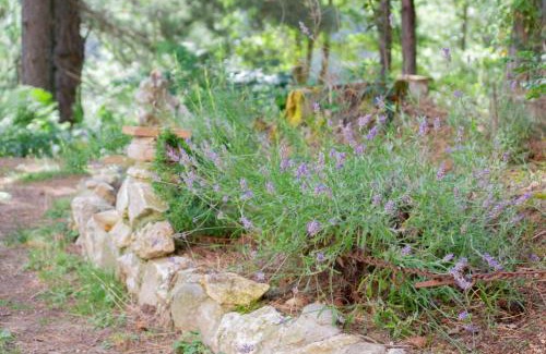 Spezzano della Sila Bed & Breakfast | B&B Nonna Iolanda