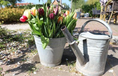Municipality of Katwijk House | B&B - Pension Het Oude Dorp
