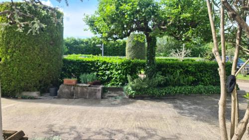 Padova Bed & Breakfast | B&B VIA DEL CRISTO