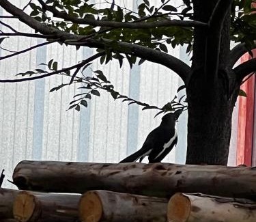 Khlong San House | Baan Apak