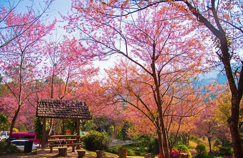 Mae Rim Villa | Baan La Ong Fah 2-Mon Jam