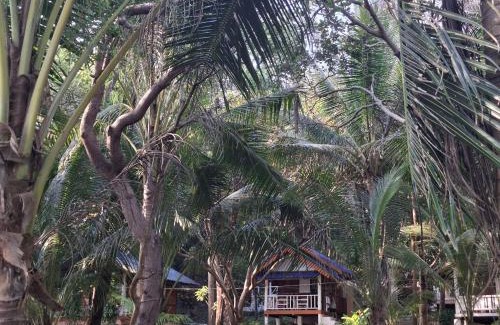 Ranong Resort | Baan Suan Kayoo 1 Long beach Aow Yai