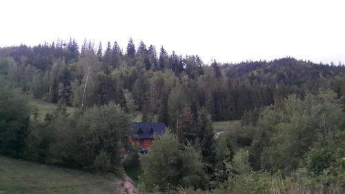Nowy Targ Villa | Bacówka w sercu gór - dom z bali w Gorcach