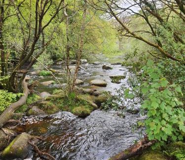 Dartmeet Apartment | Badgers Holt House