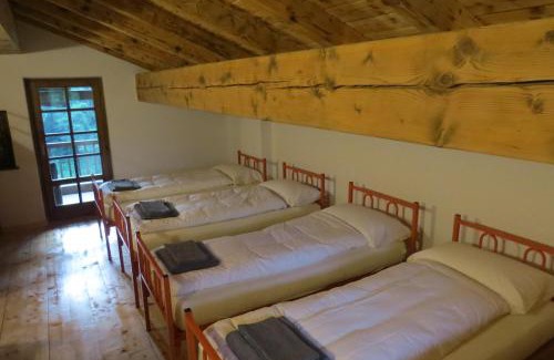 Lomaso Ski Chalet | Baita Misonet