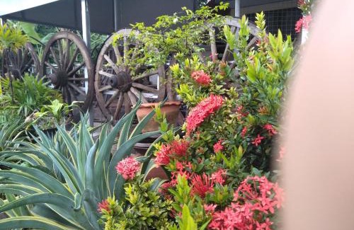 Amphawa House | Ban Khun Rin Homestay