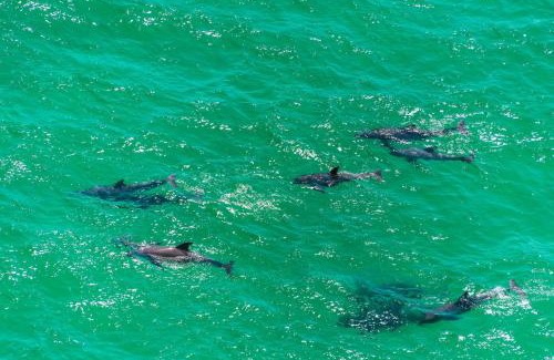 Gulfview Heights House | Barefoot Bungalow