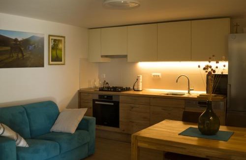 Baric Draga Apartment | Barić Draga