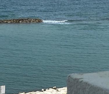 Municipio 3 Apartment | Bari Nalasia Beach Apartment