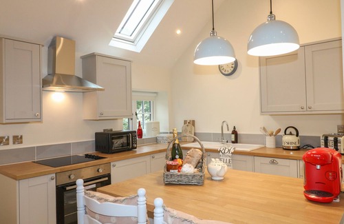 Kirk Langley Cottage | Barn Owl