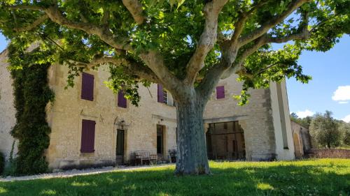 Le Puy-Sainte-Reparade Apartment | Bastide Domaine Tour Campanets