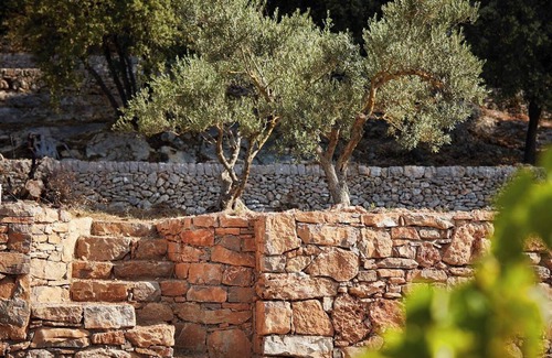 Carces Villa | Bastide Saint-Louis du Thoronet 4*, Bastide Saint-Louis du Thoronet 4*