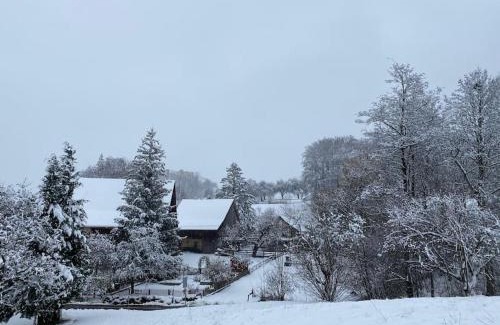Pfaffikon District Apartment | Baudenkmal Mühle Schalchen