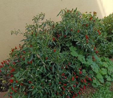 Valmontone Apartment | bb casa vacanza il villaggio