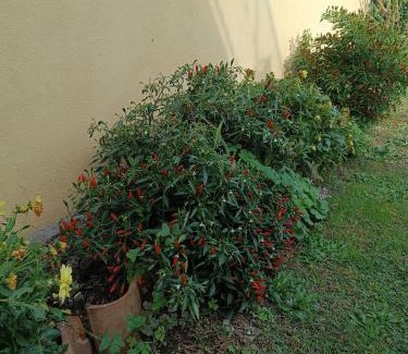 Valmontone Apartment | bb casa vacanza il villaggio