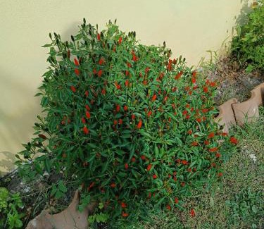 Valmontone Apartment | bb casa vacanza il villaggio