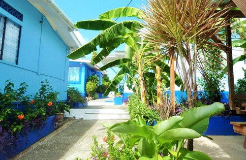 Buccoo Apartment | Beach Front Property Bucco Bay AC WIFI Standard Triple Room-MGH