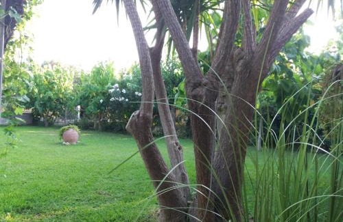 Katakolo House | Beach House for up to 9 people near Olympia