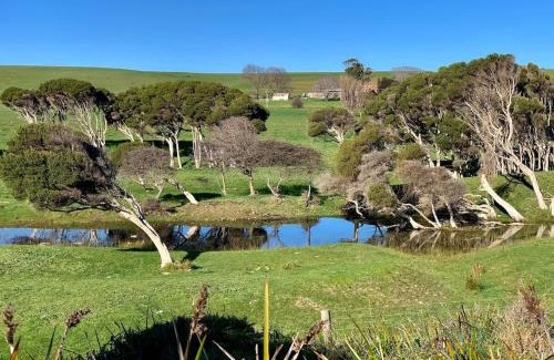 East Devonport House | Beach House with Sea Views and a Large Backyard