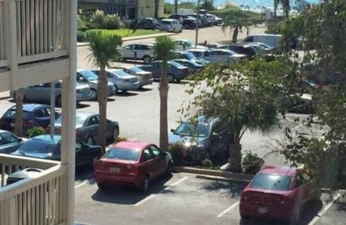 Myrtle Beach Condo | Beach View 1br Condo,Pool,Sm Dogs ok,FREE Tickets,H33