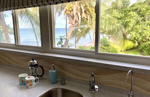 Dover Apartment | Beachfront apartment in Paradise: Turtles Nest D