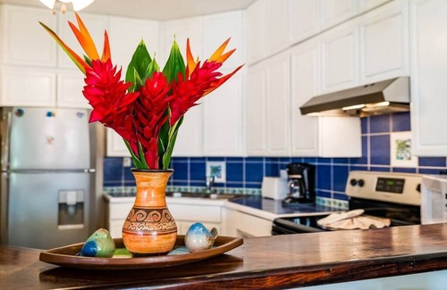 Playa Langosta Apartment | Beachfront condo with full kitchen and just steps to the beach!