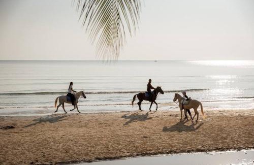 Khao Tao Apartment | Beachfront Condo room at Huahin