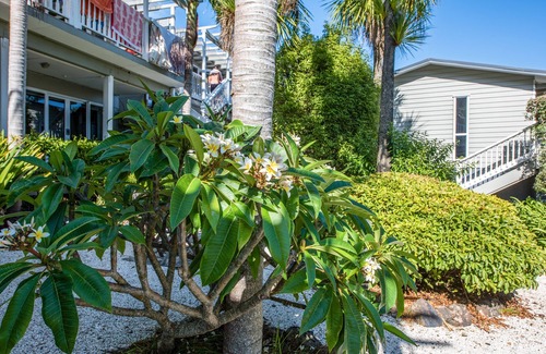 Palm Beach Apartment | BEACHSIDE APARTMENT at PALM | Coast & Country | WINTER DEAL - Stay 3, Pay for 2
