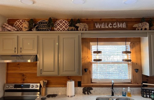 Hot Springs Cabin | Bear Cabin at The Natural State Cabins