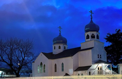 Kodiak Apartment | BEARS, BIRDS, AND WHALES/A Room with a Car