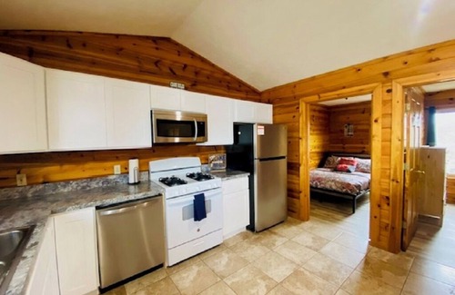 Mayfield Cabin | Beautiful 3-bedroom Waterfront Cabin Traverse City AC, dog ok, pontoon rentals