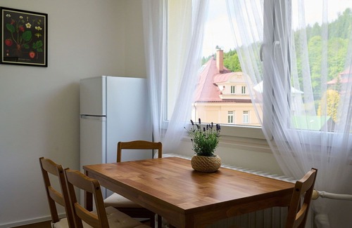 Josefov Dul Apartment | Beautiful apartment for 6 guests with WIFI, TV, balcony and parking
