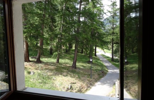 Saas-Balen Apartment | Beautiful apartment for 5 people with WIFI, TV and balcony
