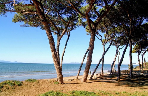 Piombino Apartment | Beautiful apartment in Piombino