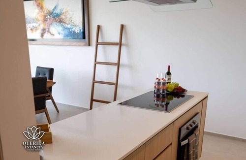 Flamingos Apartment | Beautiful Aria Ocean 401 QueridaEstancia