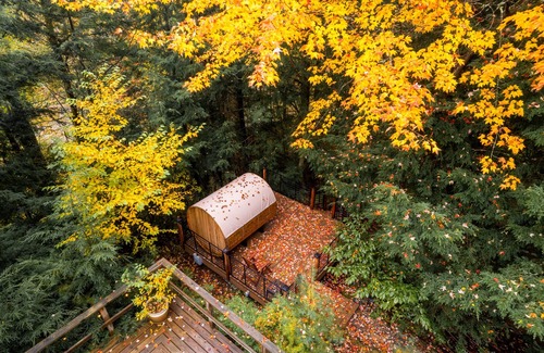 Jay Ski Chalet | Beautiful Cedar Chalet Overlooking Jay Branch