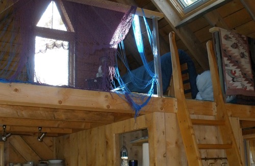 Lamoine Beach Cottage | Beautiful cottage in the woods, quiet, close to beach and State Park