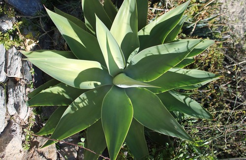 Orgiva Cottage | Beautiful Countryside Cottage