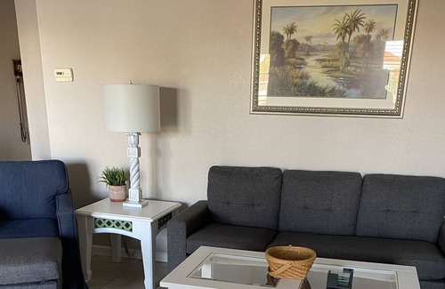 Tierra Verde Condo | Beautiful Dog Friendly Tierra Verde Waterfront Condo