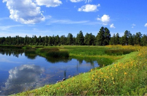 Pinetop Condo | Beautiful Family Friendly Condo walking distance to Pinetop Golf Course