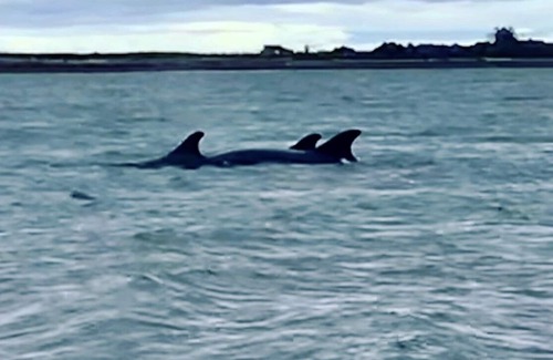 Findhorn Cottage | Beautiful four bedroom cottage in the heart of Findhorn.