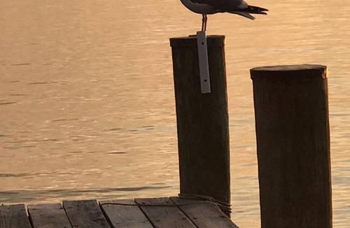 Fishing Creek House | Beautiful Home with Creek in the Front and the Chesapeake Bay in the Backyard!