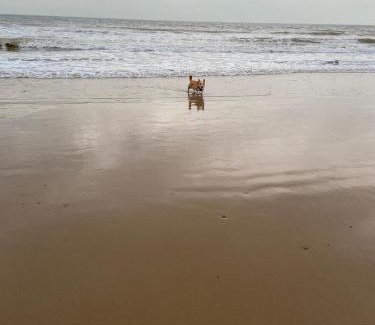 Overstrand House | Beautiful homely seaside cottage