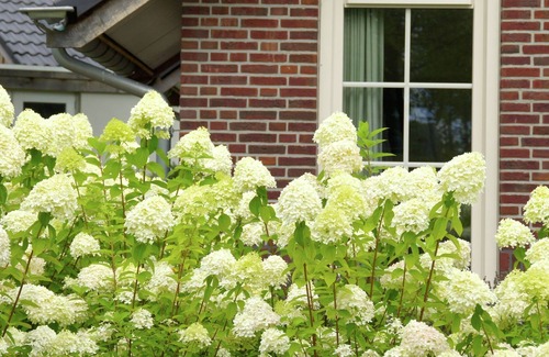 Hellendoorn House | Beautiful house with garden in a green environment