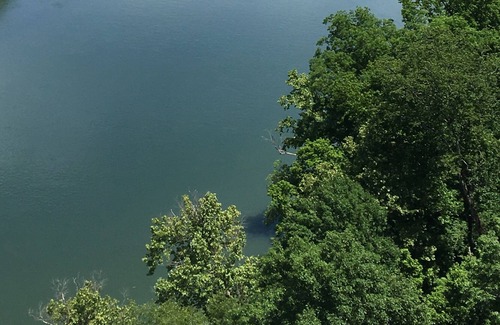 Cotter House | Beautiful Ozark bungalow within walking distance to the White River.